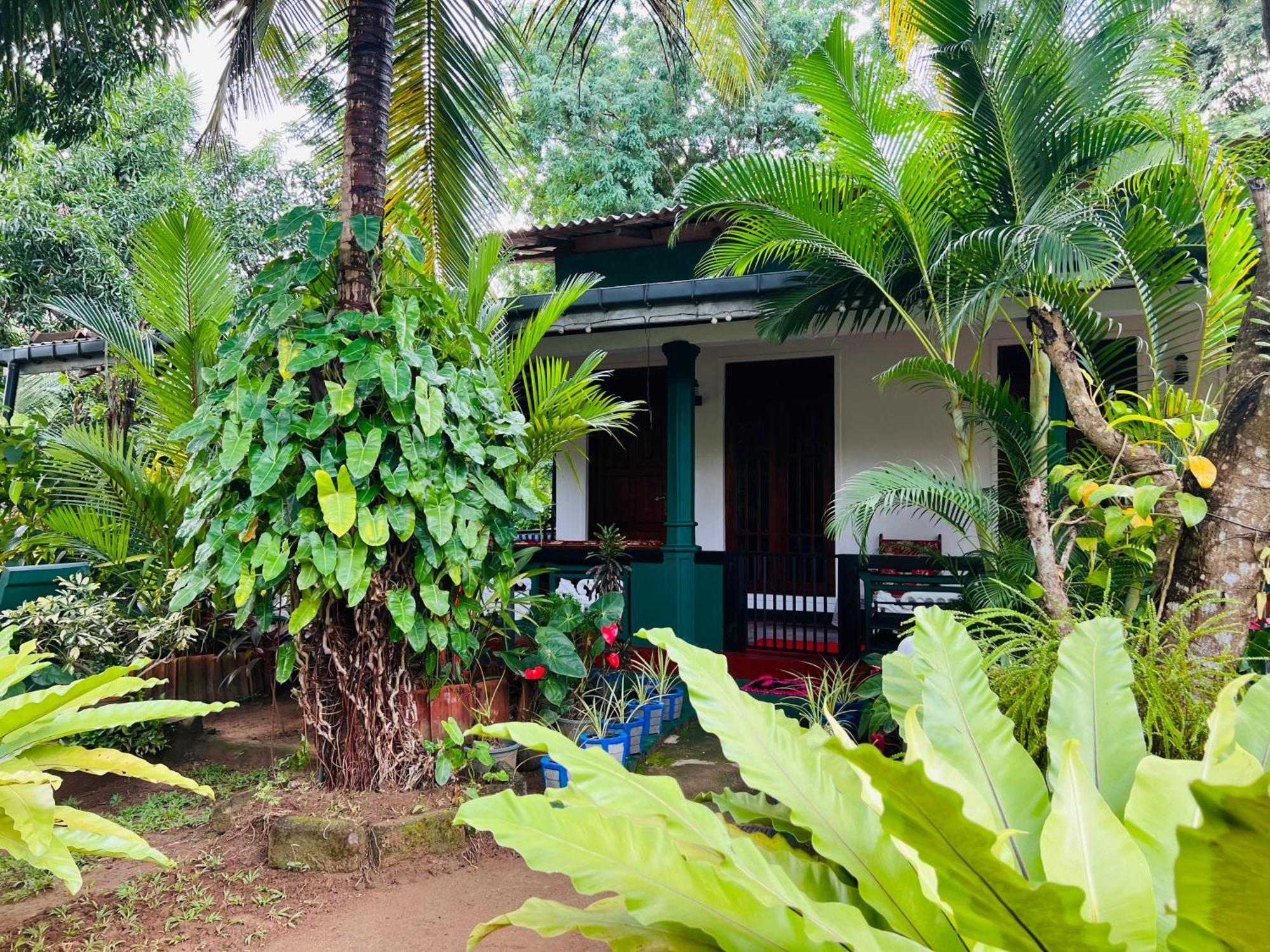 Sigiri Budget Homestay Sigiriya Exterior foto
